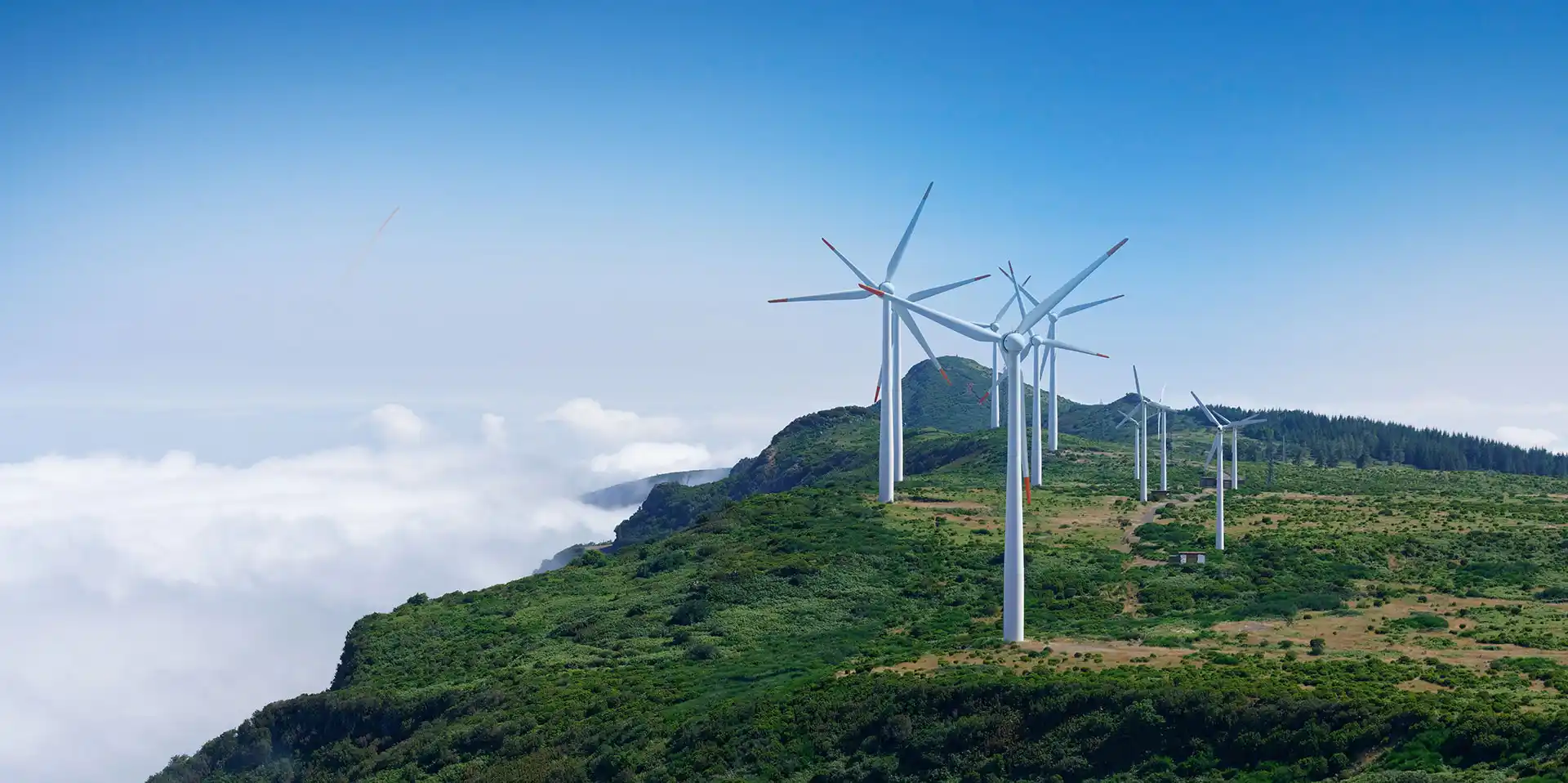 Sustainability Cover Image One