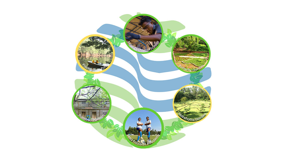 Sanquelim Reclaimed Mines – Regeneration, Purpose, Legacy